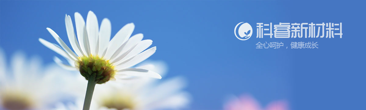 薩龍網(wǎng)絡(luò)
